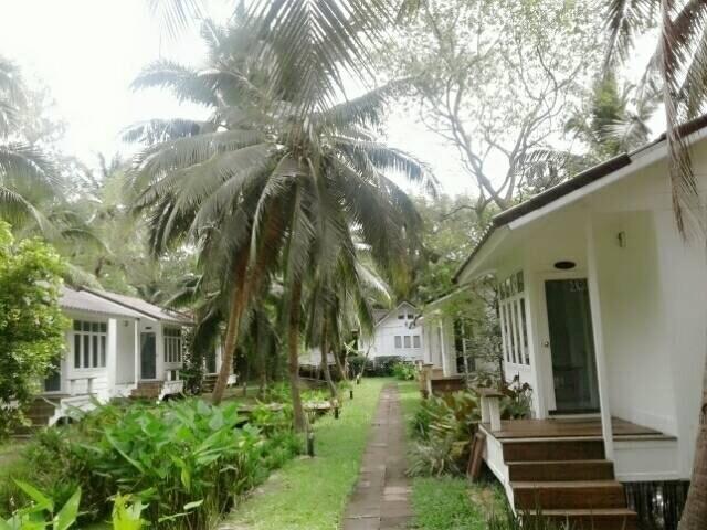 Young Coconut Garden Home Resort Amphawa Buitenkant foto