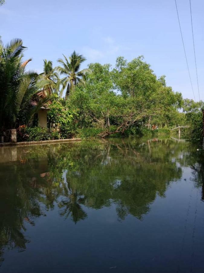 Young Coconut Garden Home Resort Amphawa Buitenkant foto