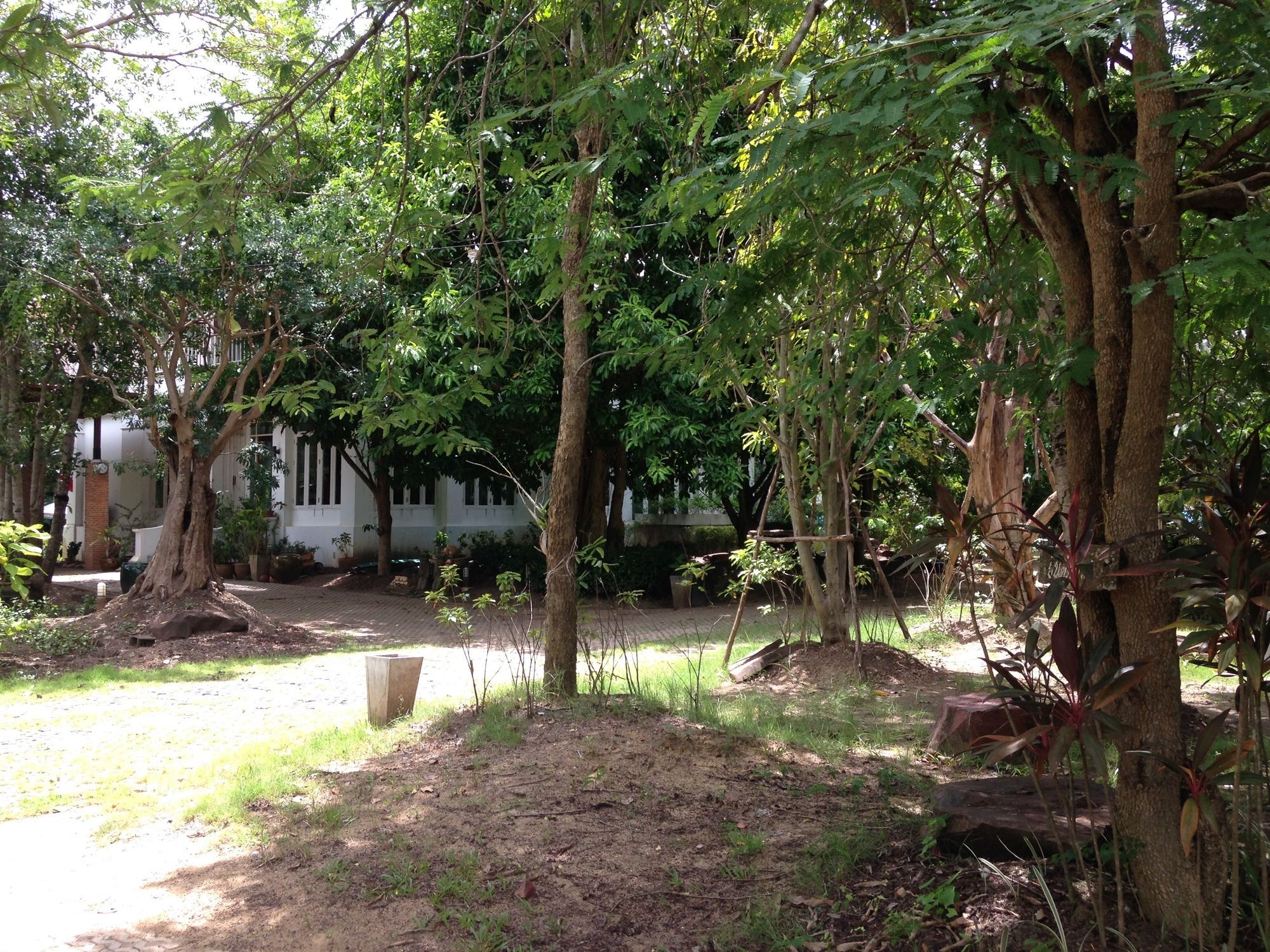 Young Coconut Garden Home Resort Amphawa Buitenkant foto